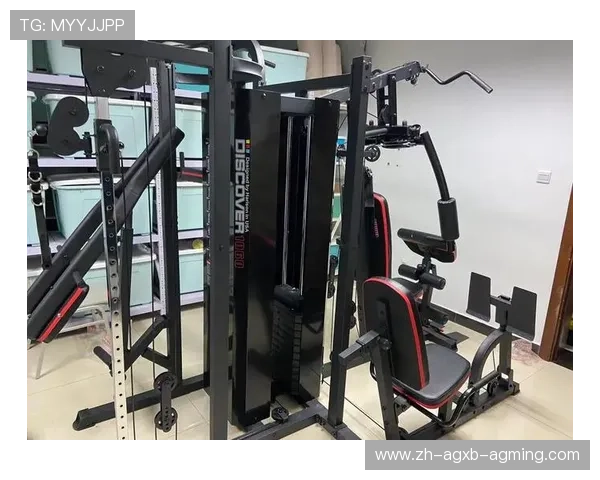 室内运动健身器材推荐及训练搭配