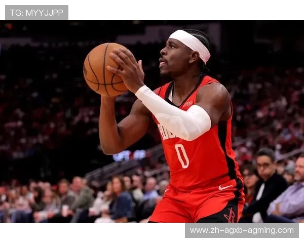 火箭队球员哈斯个人简介与效力数据分析