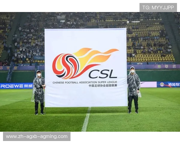 财报中超联赛：中超联赛的财务报告与各俱乐部的经济表现