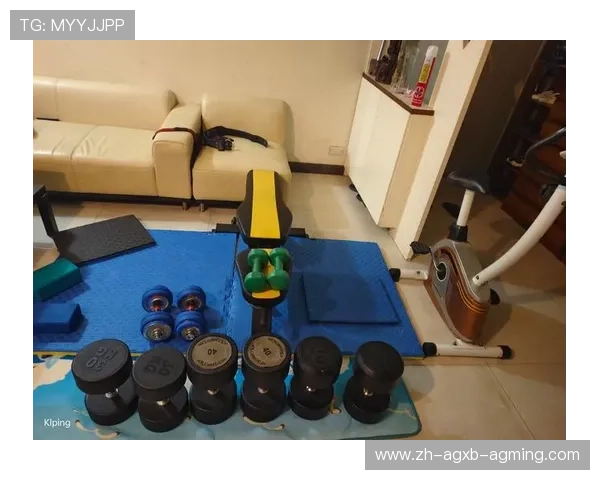 自制蝴蝶健身器材教程:家庭健身新选择