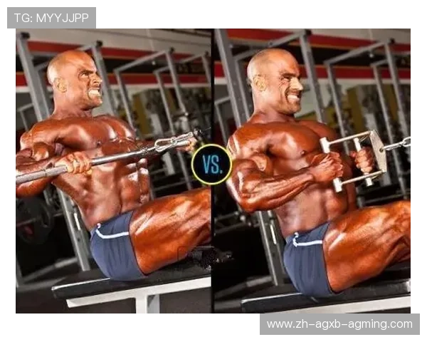 肩部训练专用健身器材介绍及分阶段训练计划